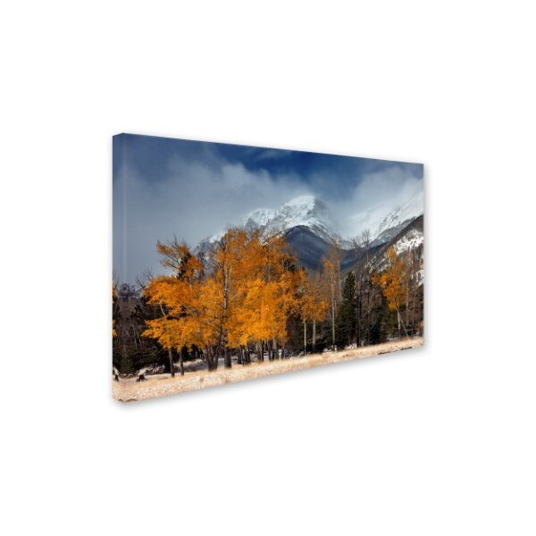 Mike Jones Photo 'RMNP Aspens And Storm Clouds' Canvas Art,22x32